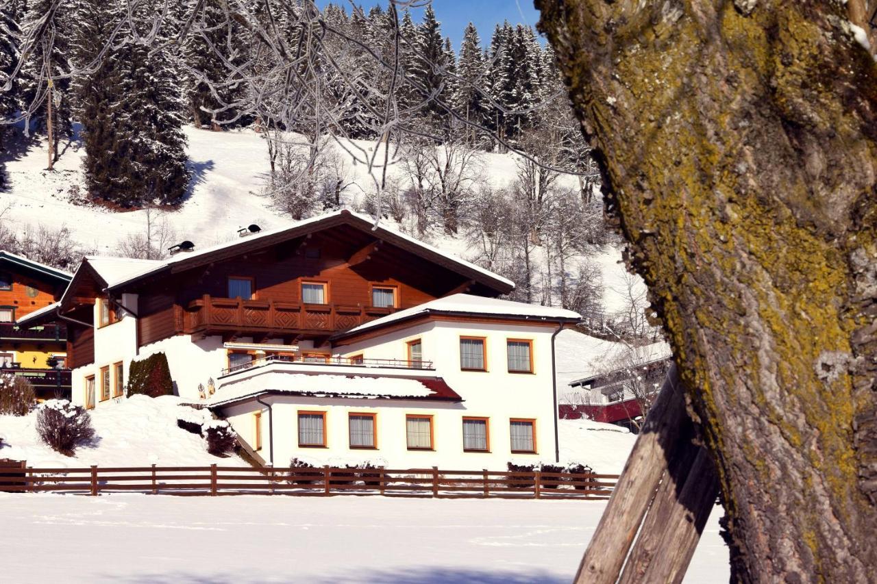Ferienhaus Steger Maria Flachau Extérieur photo